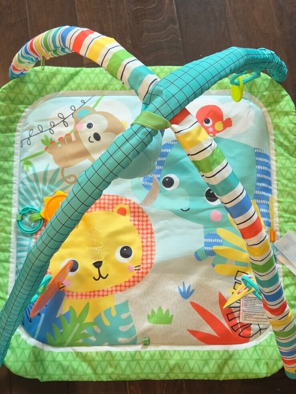 Bright Starts Baby Floor Playgym Activity Mat